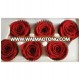 Everlasting flowers 5-6cm A grade preserved roses with high quality